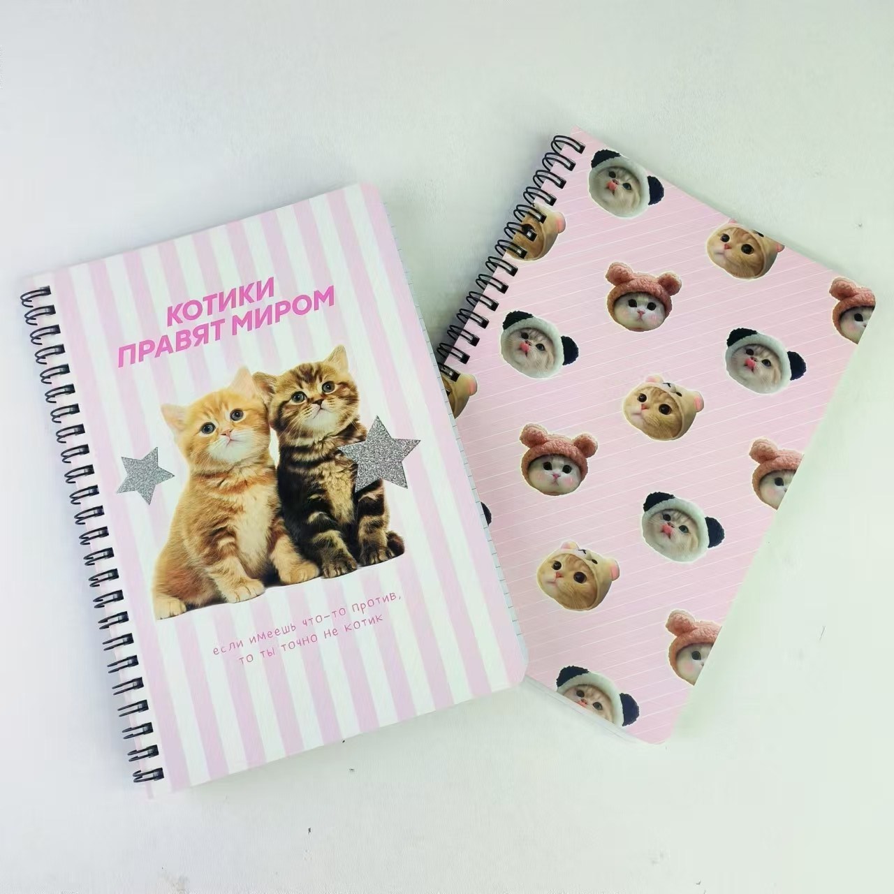 Anneaux de chat Cahier à spirale